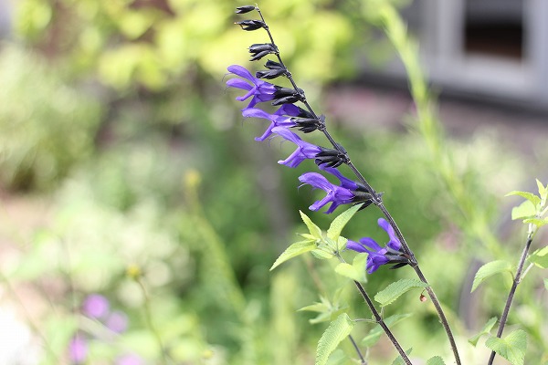 20140524.jpg