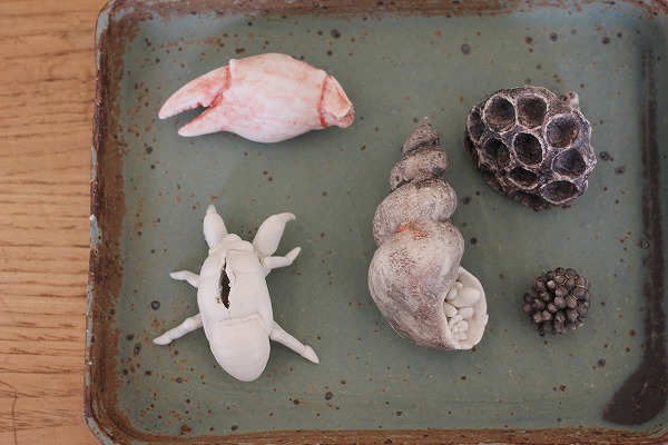 20140714a.jpg