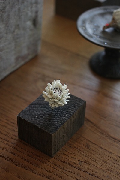 20140714c.jpg