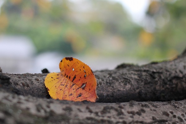 20140930.jpg