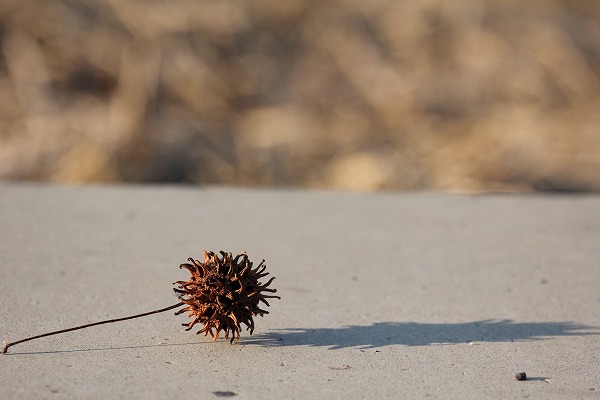 20150131.jpg
