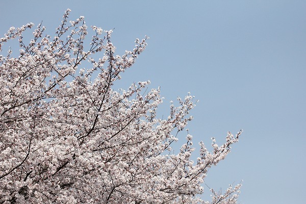 20150331.jpg