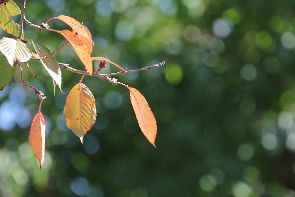 20151030.jpg