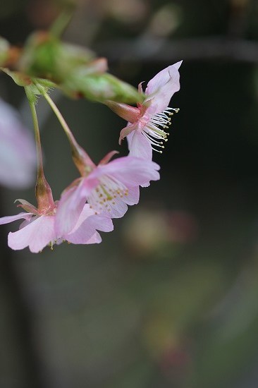 20160227a.jpg