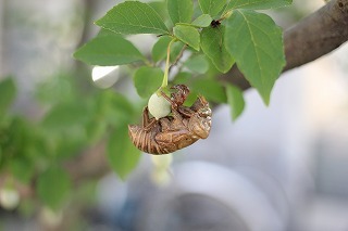 20160627.jpg
