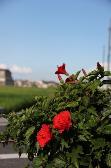 20160826.jpg