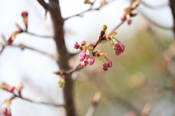 20180307b.jpg