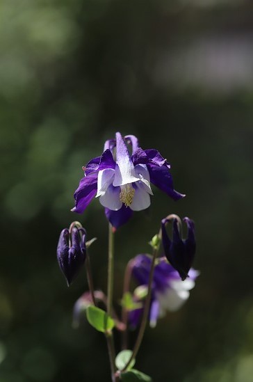 20180429b.jpg