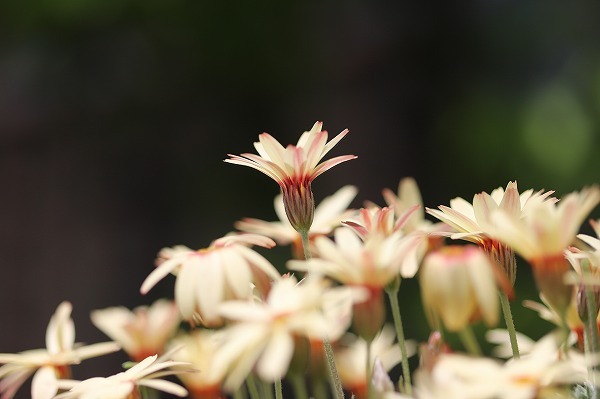 20180429c.jpg