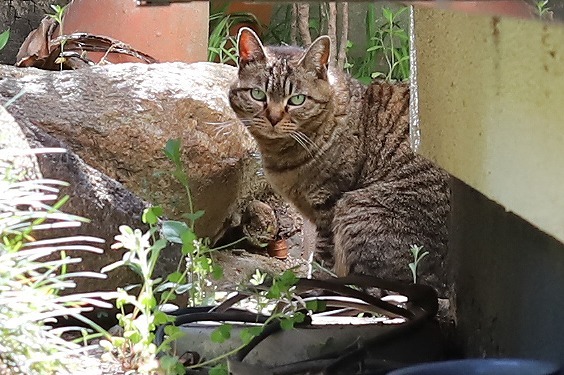 20180507a.jpg