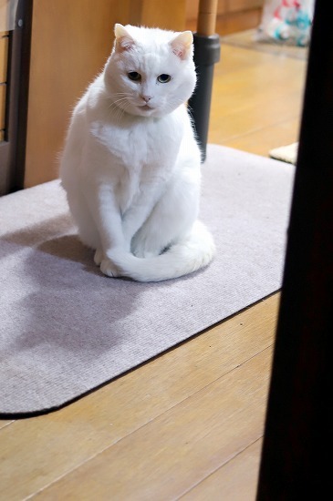 20180507c.jpg